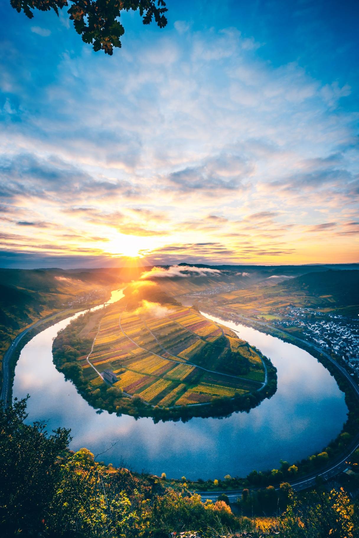 Mosel