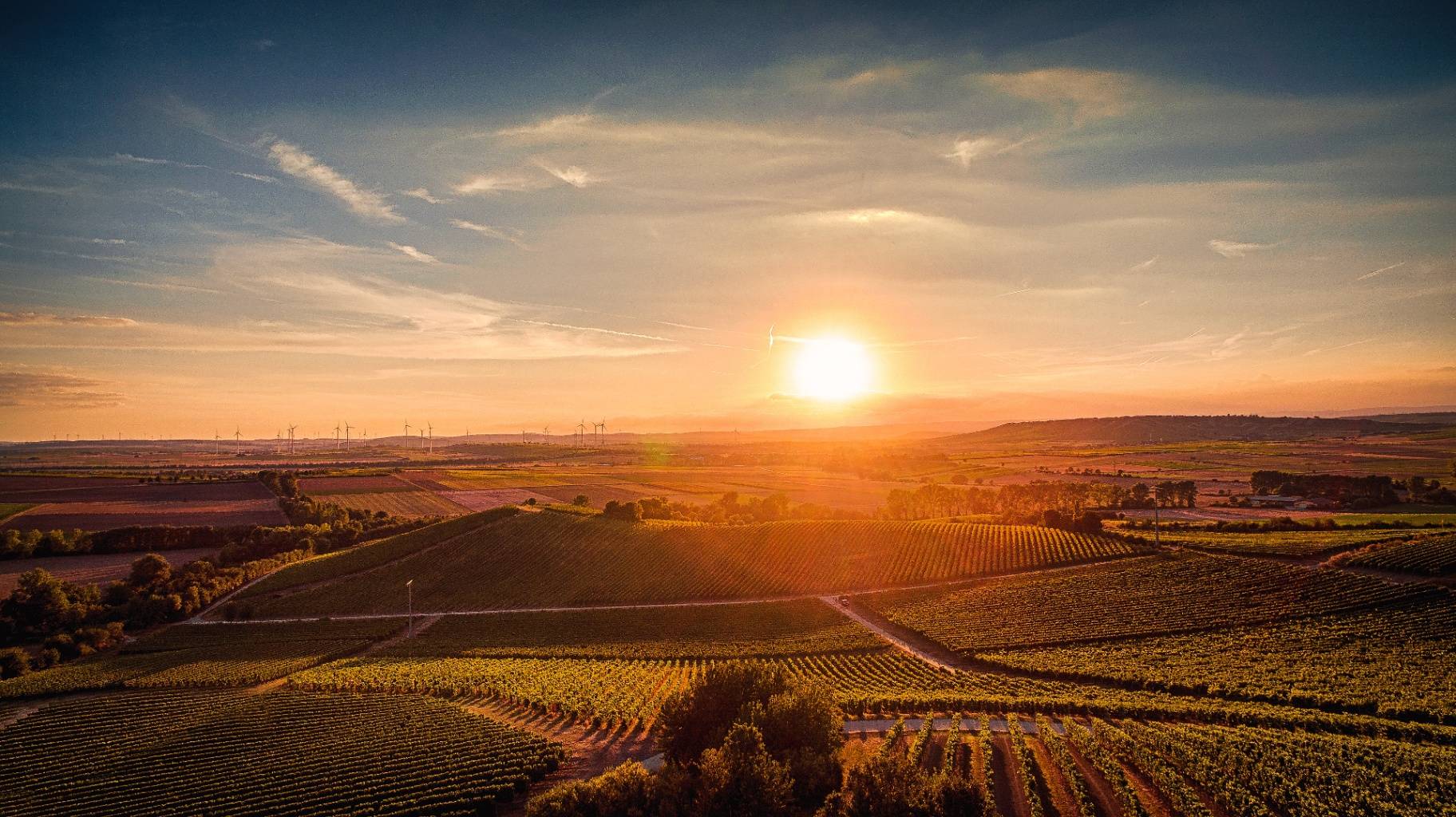 Rheinhessen