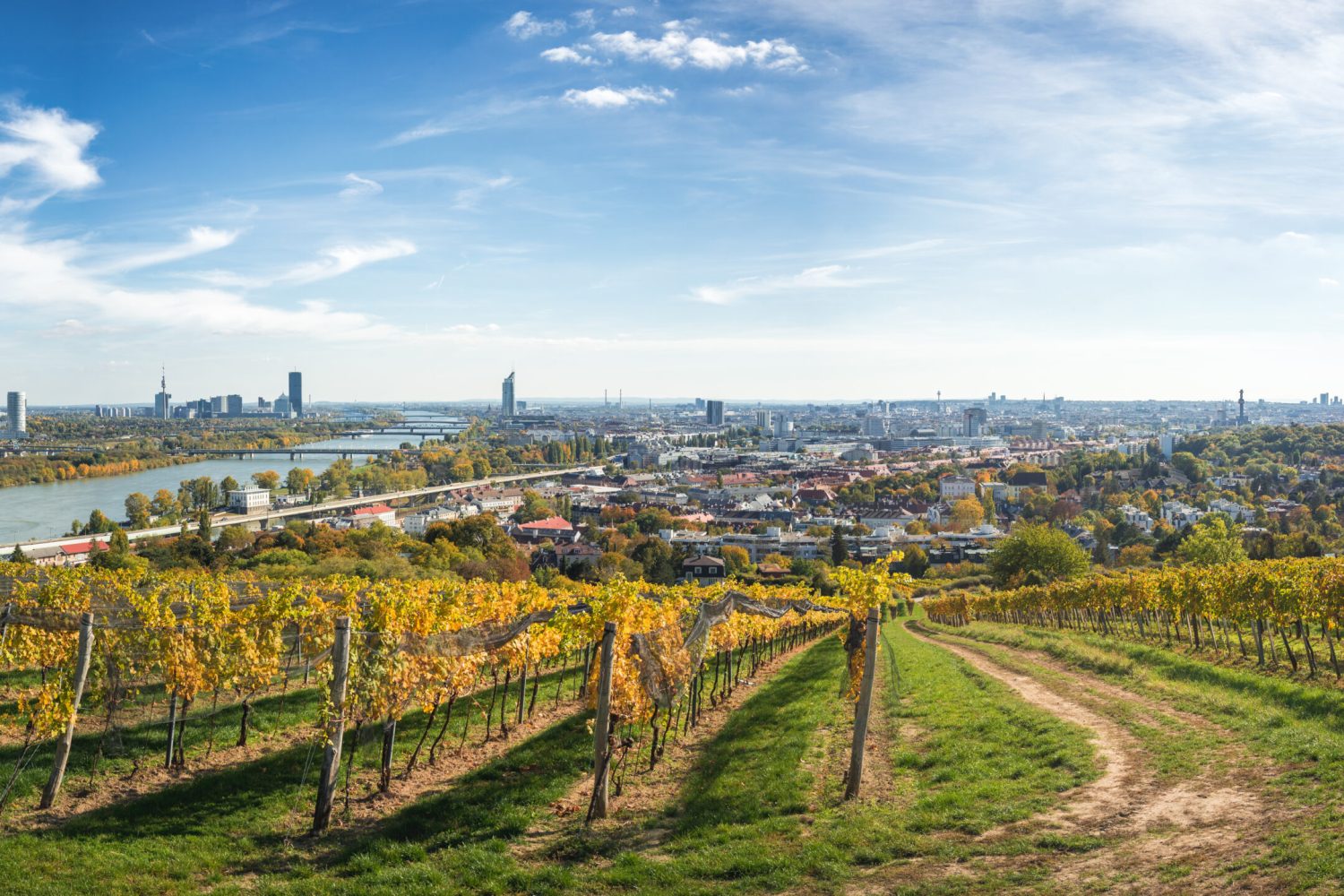 Vienna panorama over vineyards